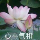 荏苒_PsTI