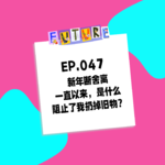 047. 新年断舍离：一直以来，是什么阻止了我扔掉旧物？