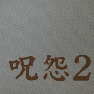 《咒怨2》时空叠加与怨灵诅咒