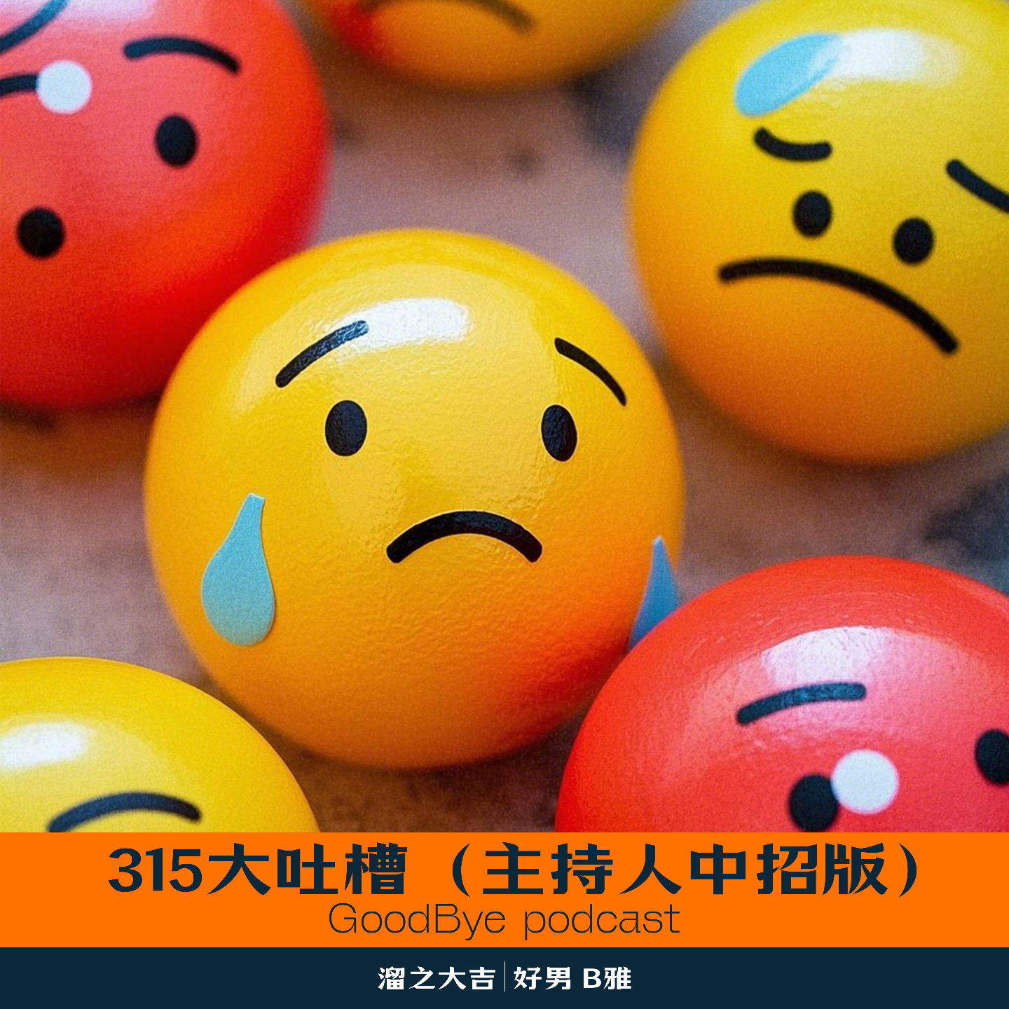 【18】315晚会大吐槽（主持人中招版） episode artwork