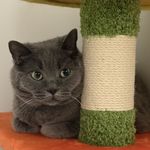 我要活在有你的世界中