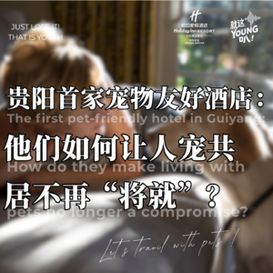 Vol.42丨贵阳宠物友好酒店：他们如何让人宠共居不再“将就”？
