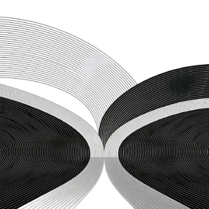 101 思维红绿灯:为什么我们会在一件事上“分道扬镳”?