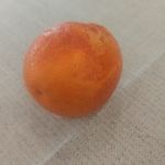 顾昀a2