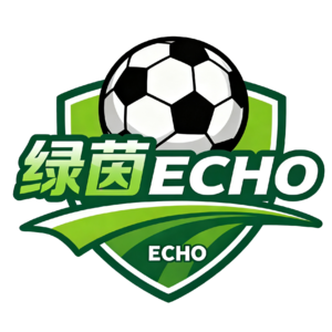 003.从两连败到三连胜 谭龙成为亚泰队史射手王