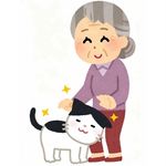铁锤猛猛