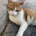 周四下午别找我