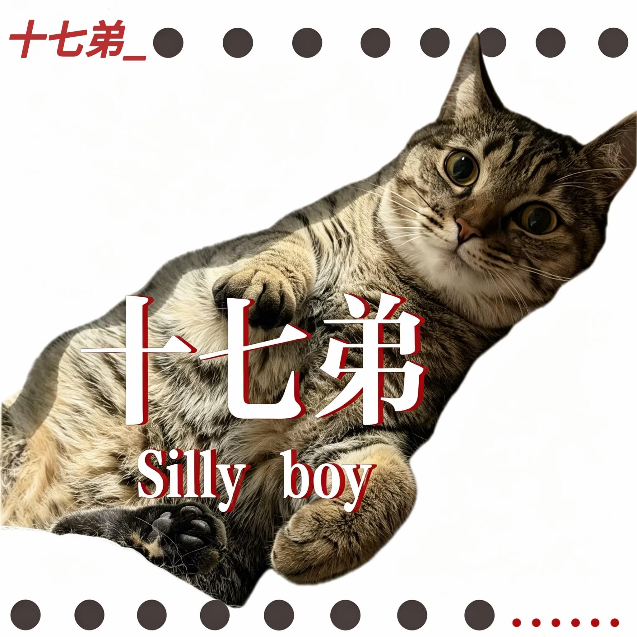 十七弟