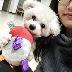 家里永远有臭屁屁