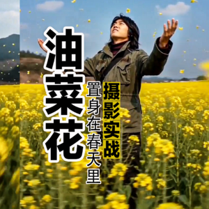 油菜花田人像创作