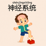 EP47｜神经系统－为什么踩到乐高，大脑会知道痛？