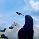 在路上的人_WCKn