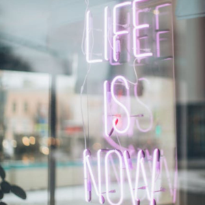 2024年5-8月｜Part 1 Life stages