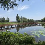 森森要学习
