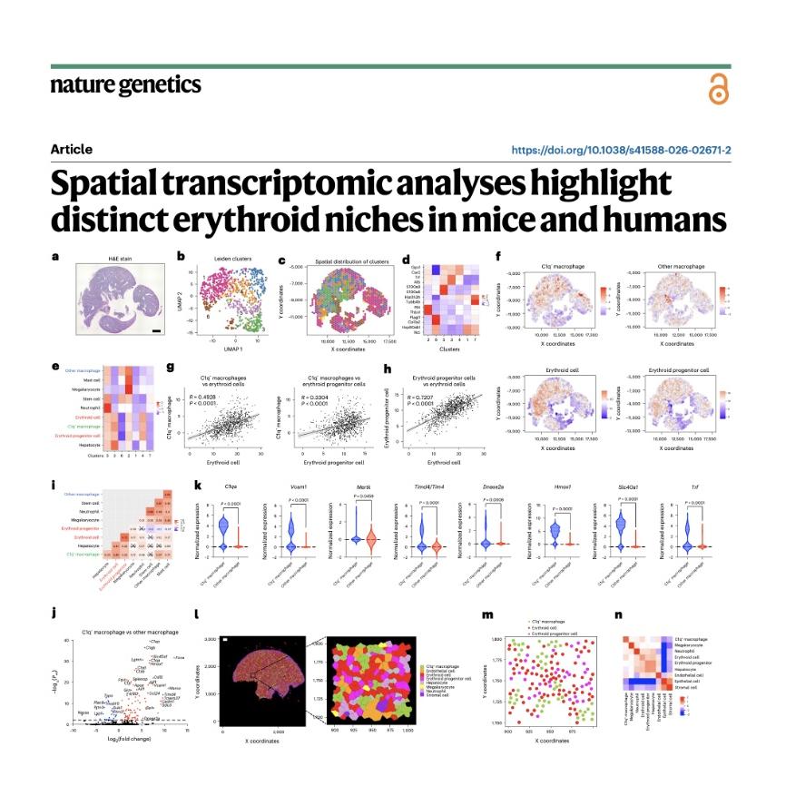 1361-Spatial Mapping of Species-Specific Erythroid Niches episode artwork