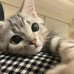 小好今天听什么
