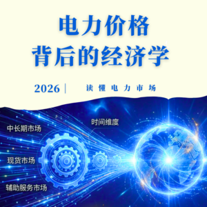 读懂电力市场：价格信号背后的经济学