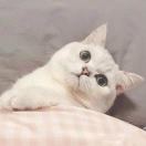 悦_hGrc_GmYb