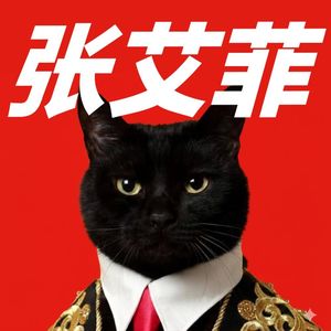 张艾菲说日本