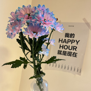 22 当我们谈论植物的时候我们在谈论什么