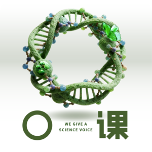 走进B细胞的微观战场，解密免疫系统的运行与失控