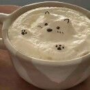 没有刺的仙人掌