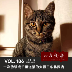 186 一千零一夜：一次伪装成千里送猫的大胃王东北探店