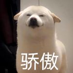 四面八方_