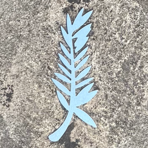 78戛纳出行记Day 8&9: 又来一部金棕榈影片！