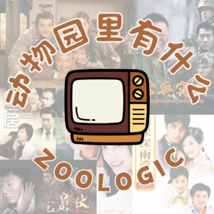 年终观察｜为什么这一年我们集体重刷老剧？《士兵突击》《潜伏》《武林外传》...新解、回忆杀一次拉满