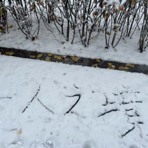 Vol.99｜2024年粤语流行推荐歌单TOP20