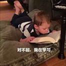 皮格马利翁效应