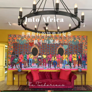 Into Africa: 非洲旅行的简单与复杂，抓手与黑洞