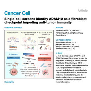464-ADAM12: A new Checkpoint impeding Anti-Tumor Immunity