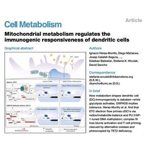 925-Mitochondrial Metabolism Fuels Anti-cancer cDCs