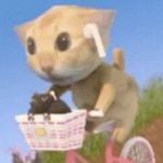 蓝色大菠萝