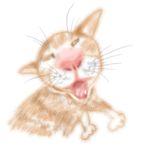 铁梅小猪