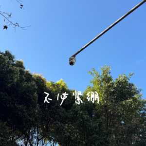 074 允许停滞，允许无所事事