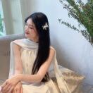 芹菜_ASiP