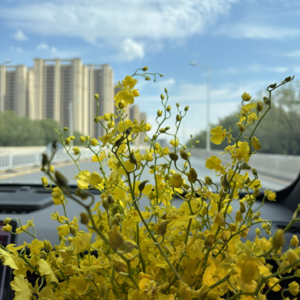 Vol.53 领证那天的奇迹之旅