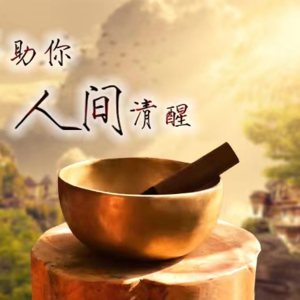 全身疗愈by澜息颂钵