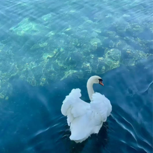 VOL136.不要害怕吃学习的苦，那是你观世界的路。