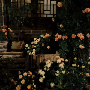 Vol.04 秋招这场生存战,我们活下来了