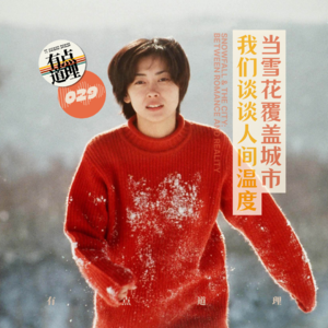 029. 当雪花覆盖城市，我们谈谈人间温度