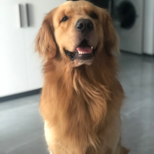 看过这么多婚姻案件，这期聊聊婚姻吧