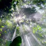 以夢為馬的Evelyn