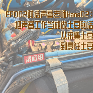 EP002对话声音老师Hans02：把声音工作当成做土豆的话，从采集土豆到烹饪土豆