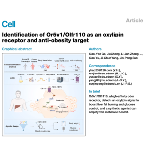 458-Olfr110 Signaling and Hepatic Glucose Homeostasis