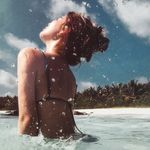 苹果狗1