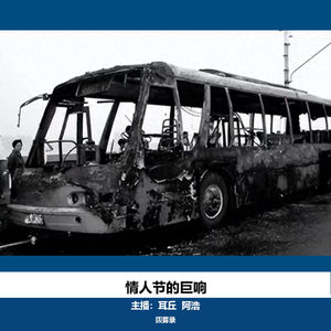16. 情人节的巨响|2·14武汉公交车爆炸案